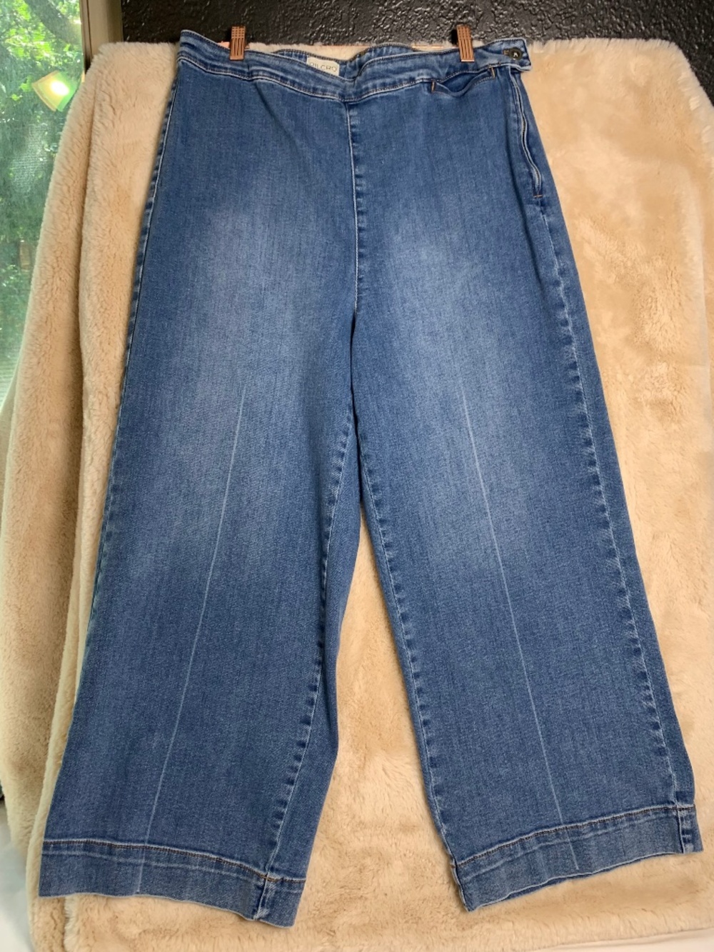 Pilcro wide leg crop side zip from Anthropologie sz 34